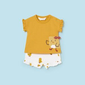 Conjunto 1612 niña pollitos maiz